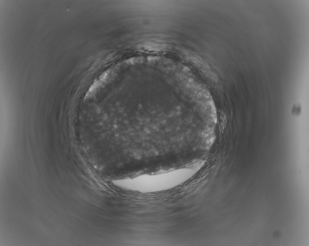 X0000116761009201001281607