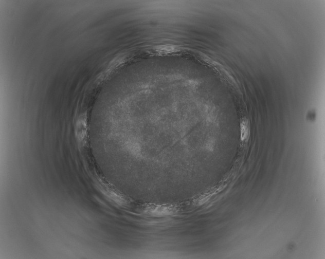 X0000116761011201001281607