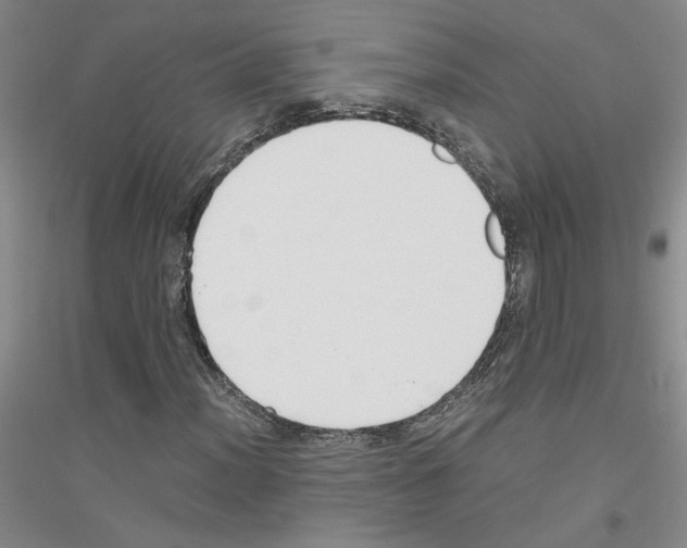 X0000116761012201001281607