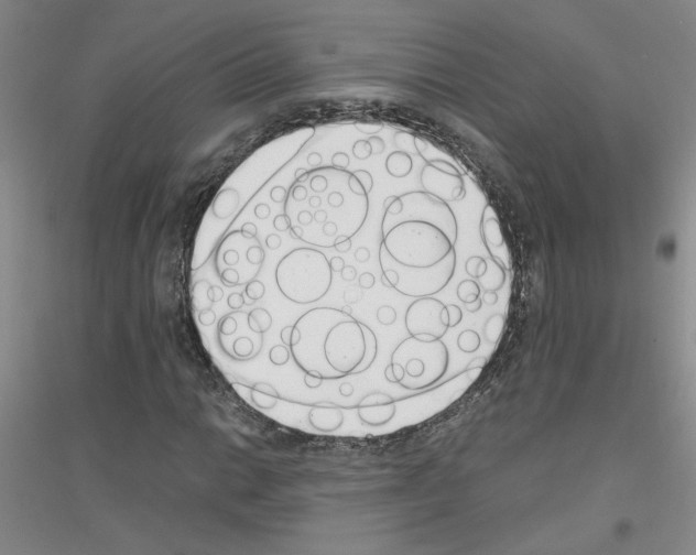 X0000116761014201001281607