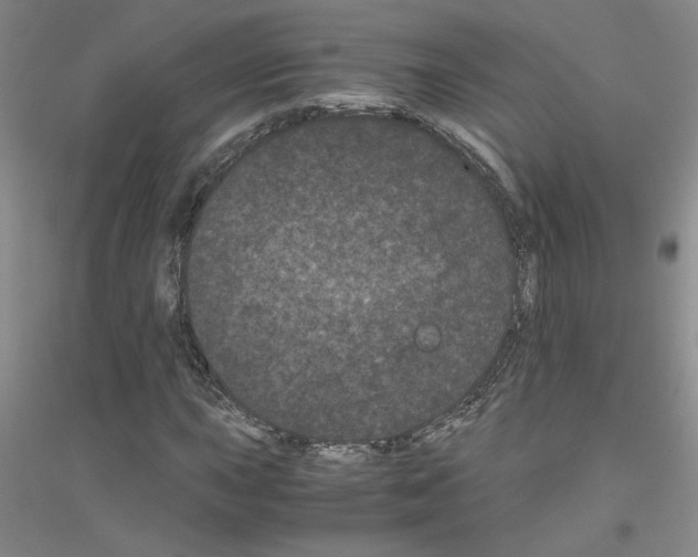 X0000116761015201001281607