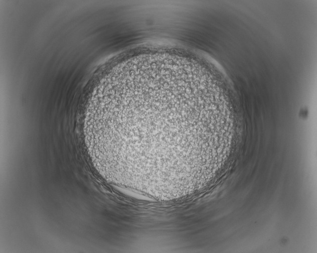 X0000116761016201001281607