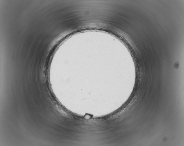 X0000116761018201001281607