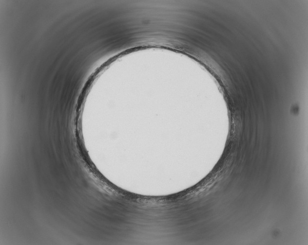 X0000116761020201001281607