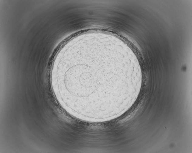 X0000116761021201001281607