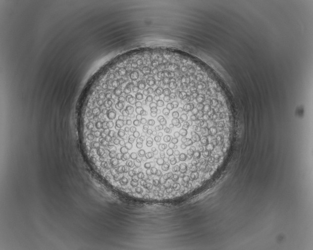 X0000116761022201001281607