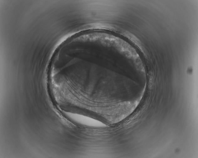 X0000116761024201001281607