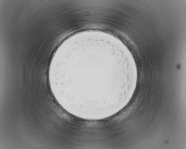 X0000116761025201001281607