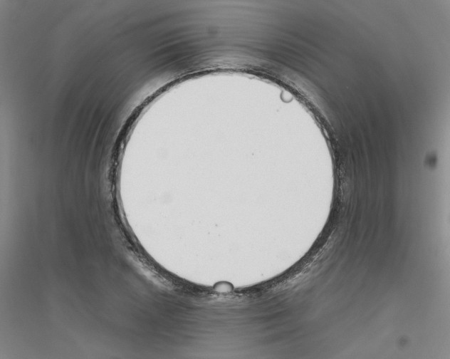 X0000116761026201001281607