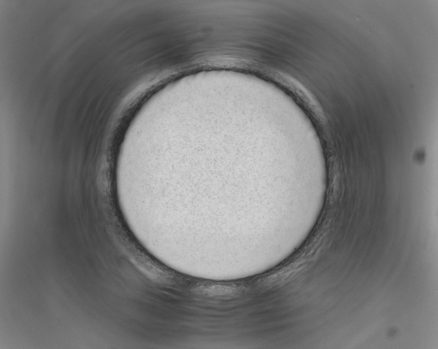 X0000116761027201001281607