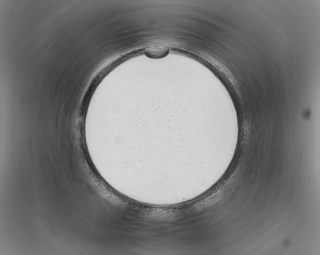 X0000116761029201001281607