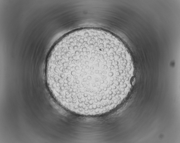 X0000116761030201001281607