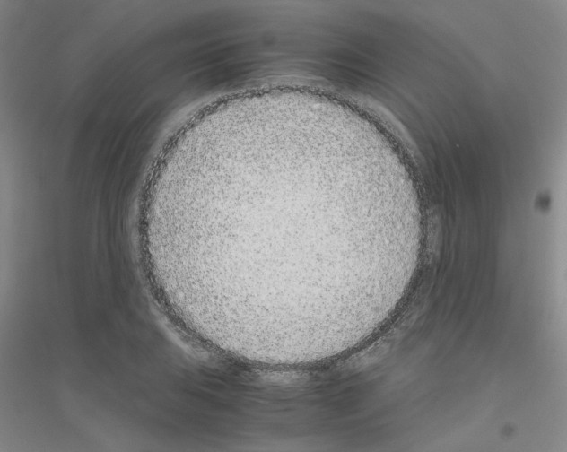 X0000116761031201001281607