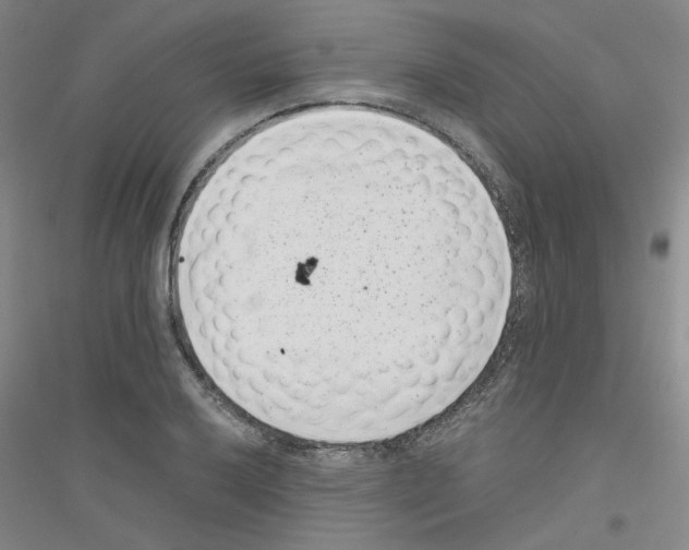 X0000116761032201001281607