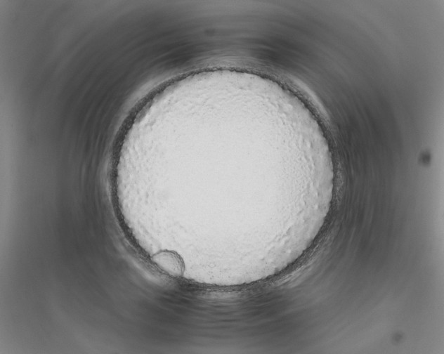 X0000116761035201001281607