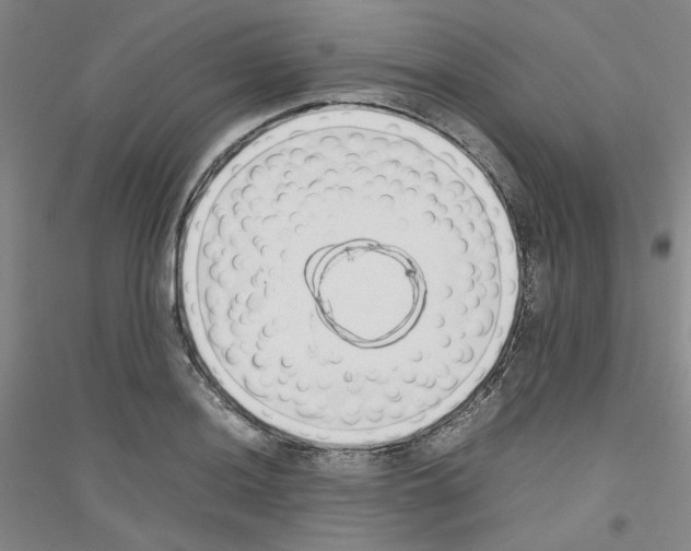 X0000116761036201001281607