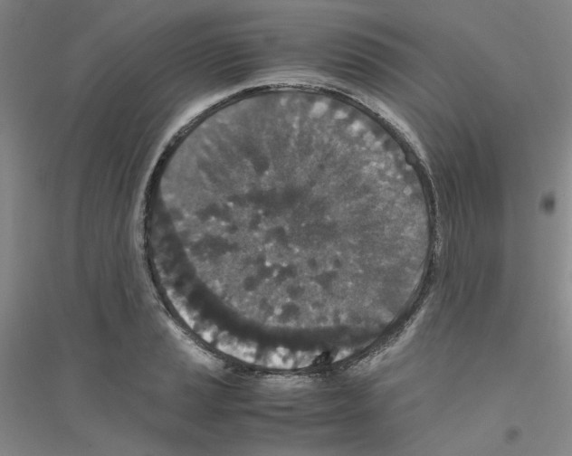 X0000116761037201001281607