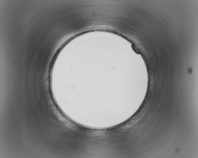 X0000116761038201001281607