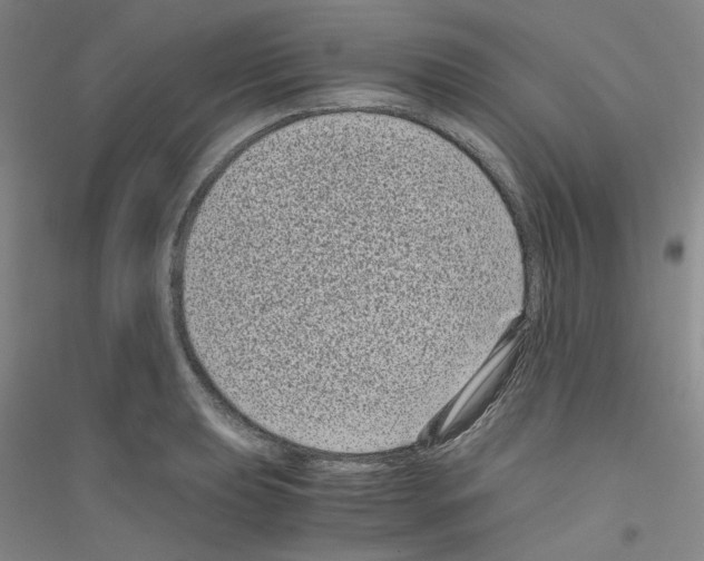 X0000116761039201001281607