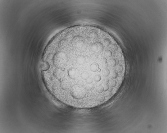 X0000116761040201001281607