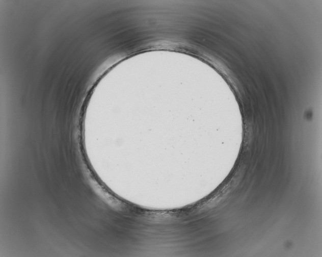 X0000116761042201001281608