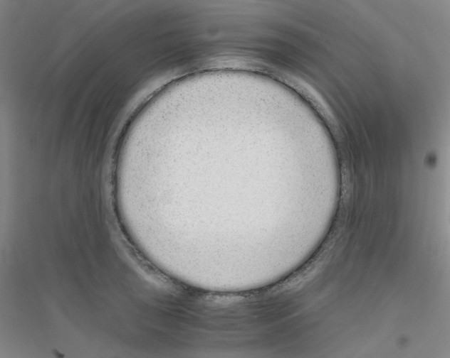 X0000116761043201001281608