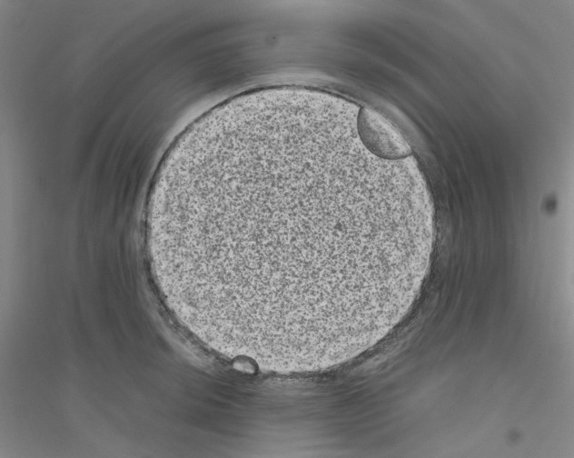 X0000116761044201001281608