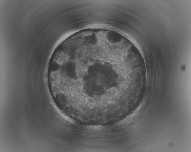 X0000116761045201001281608