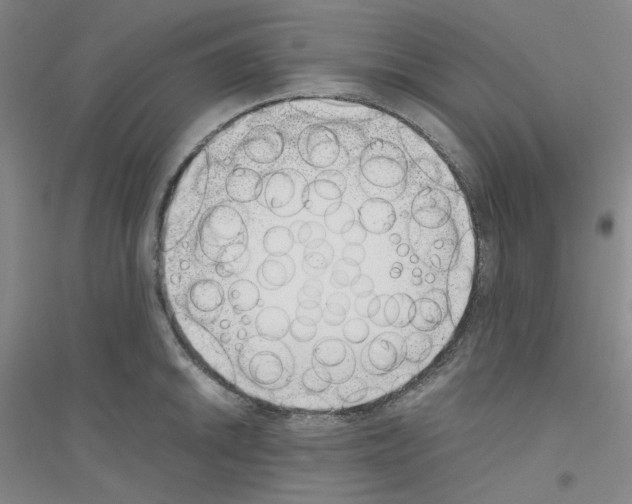 X0000116761046201001281608