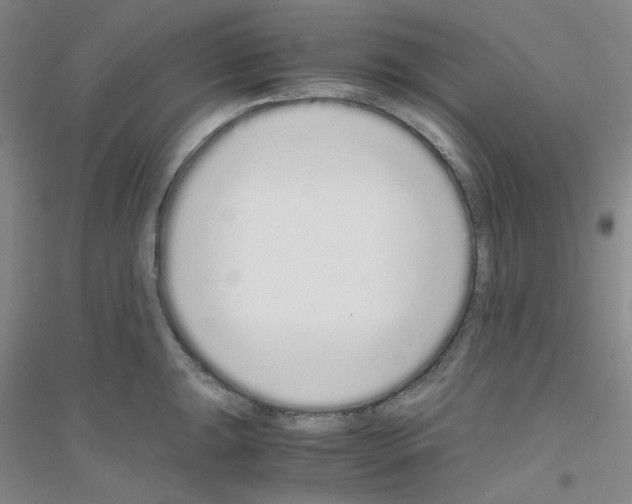 X0000116761047201001281608