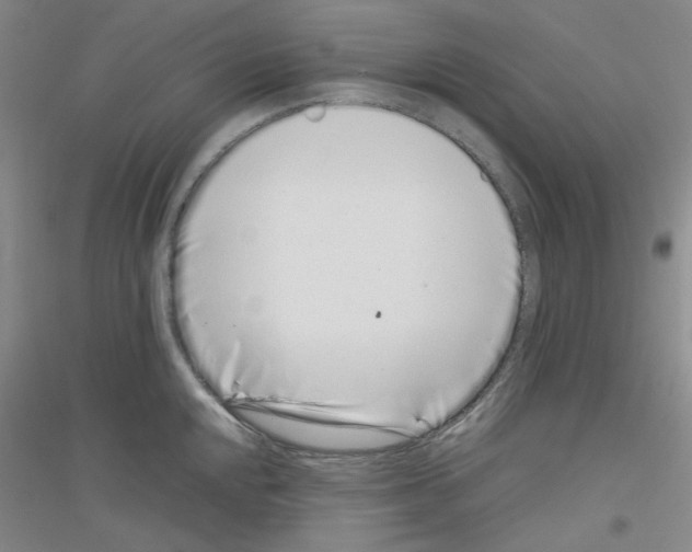 X0000116761048201001281608