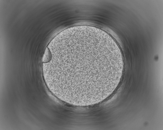 X0000116761049201001281608