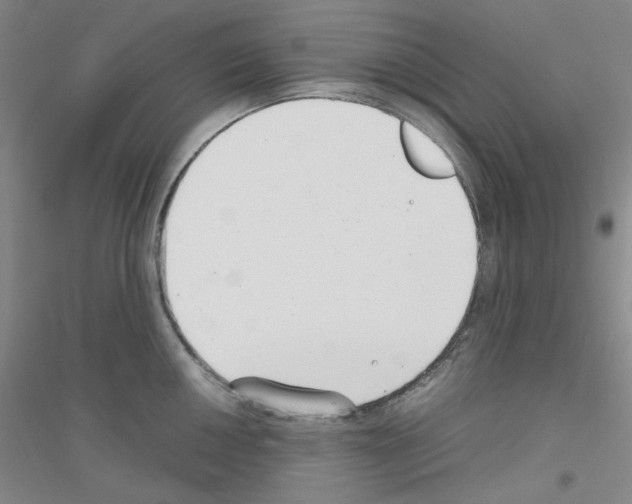 X0000116761050201001281608