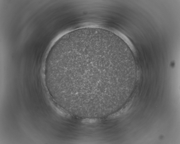 X0000116761051201001281608