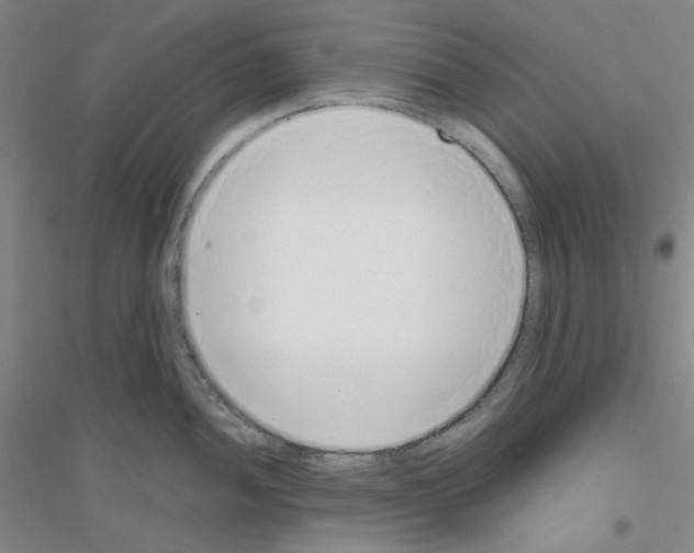 X0000116761052201001281608