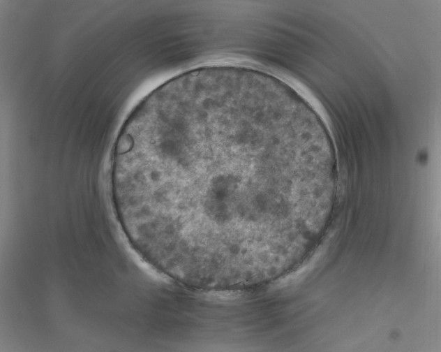 X0000116761053201001281608