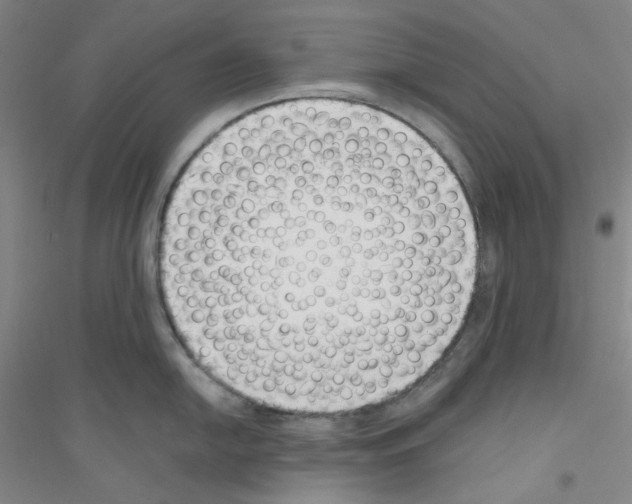 X0000116761054201001281608