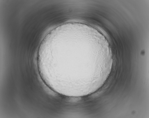 X0000116761055201001281608