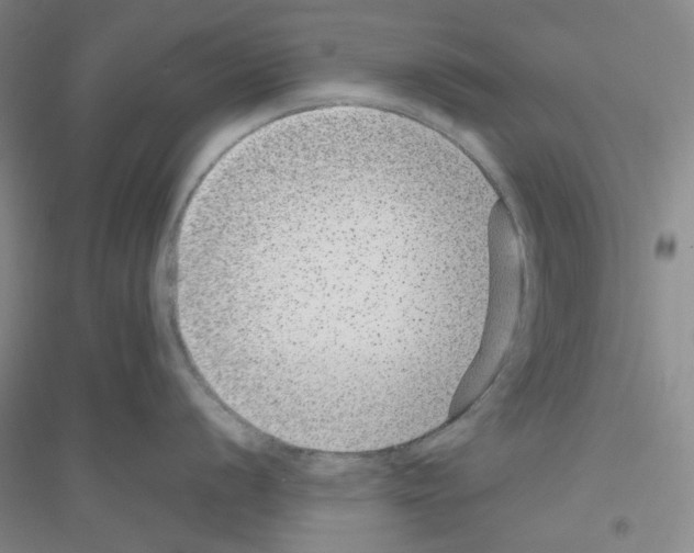 X0000116761056201001281608