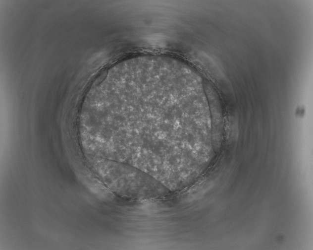 X0000116761057201001281607