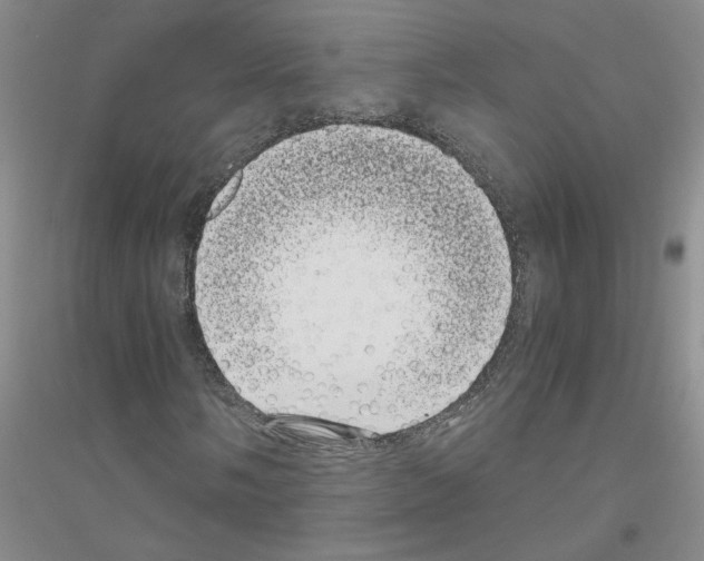 X0000116761058201001281607