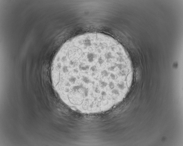 X0000116761059201001281607