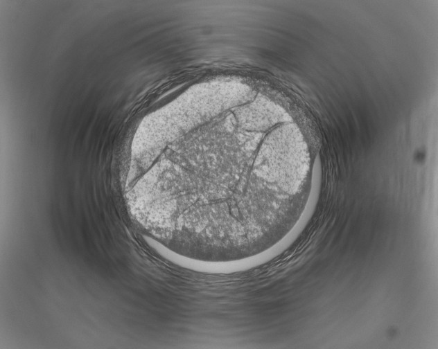 X0000116761060201001281607