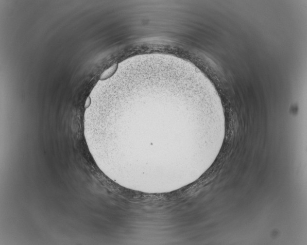 X0000116761062201001281607