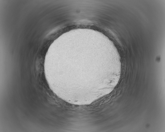 X0000116761063201001281607