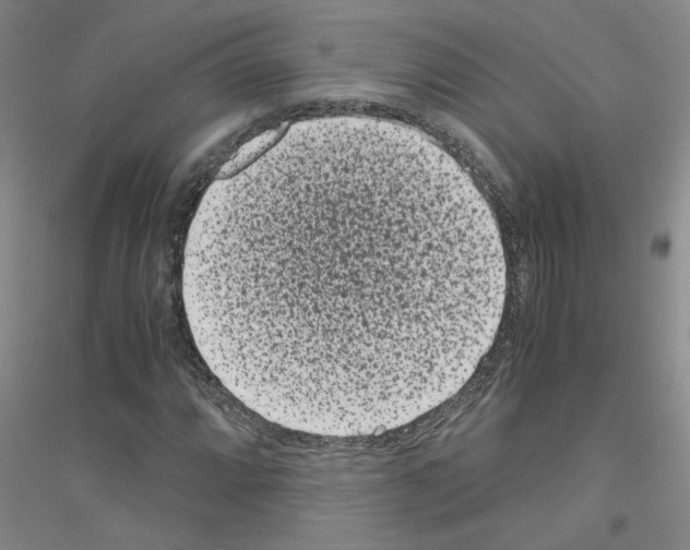 X0000116761064201001281607