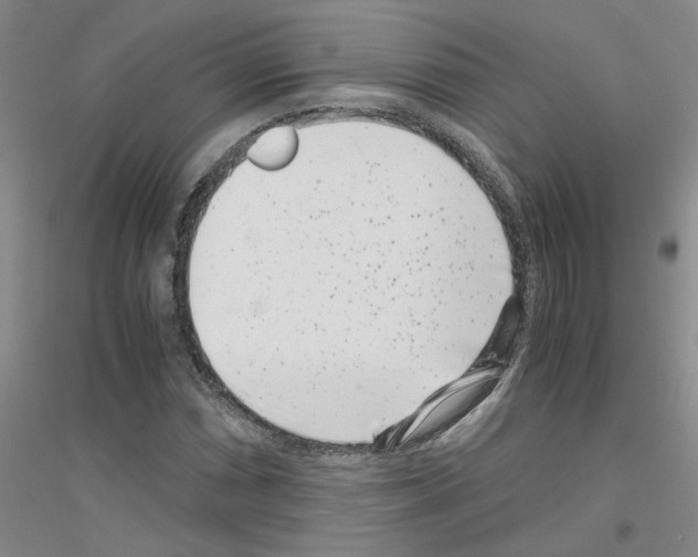 X0000116761066201001281607