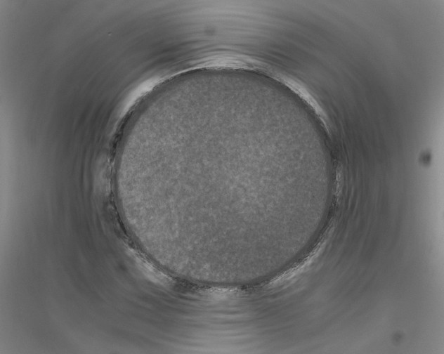 X0000116761067201001281607