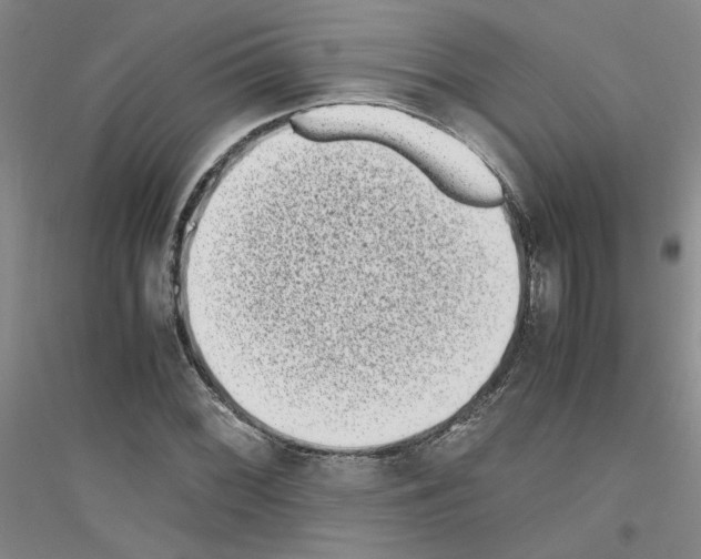 X0000116761068201001281607