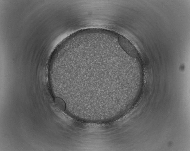 X0000116761069201001281607